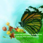 Bonjour mari papillon sur feuille boutons floraux