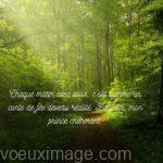 Bonjour mari rayons de soleil dans la foret verdure