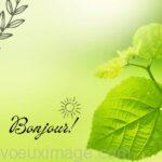 Feuille verte mignonne Bonjour Instagram Post