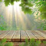 rayons de soleil dans la foret pont en bois