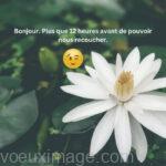 bonjour petite amie fleur blanche clin doeil emoji