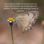 bonjour petite amie papillon sur fleur